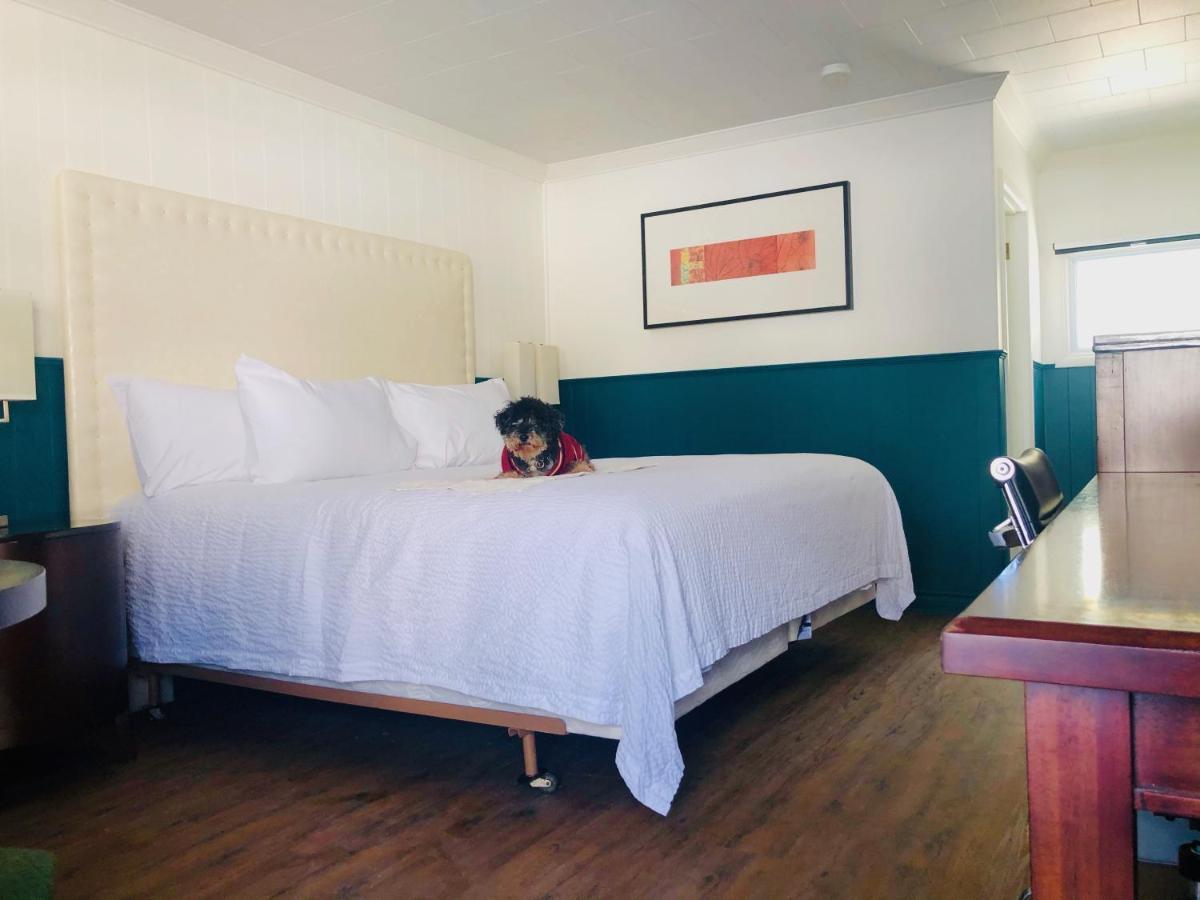 The Voy Motel Schreiber Bagian luar foto